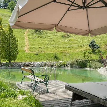Alpinresort Schillerkopf Hotel Buerserberg