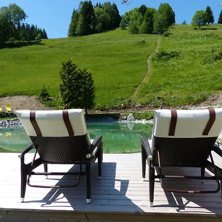 Alpinresort Schillerkopf 4* Buerserberg