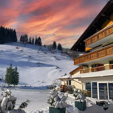 Alpinresort Schillerkopf Hotel Bürserberg